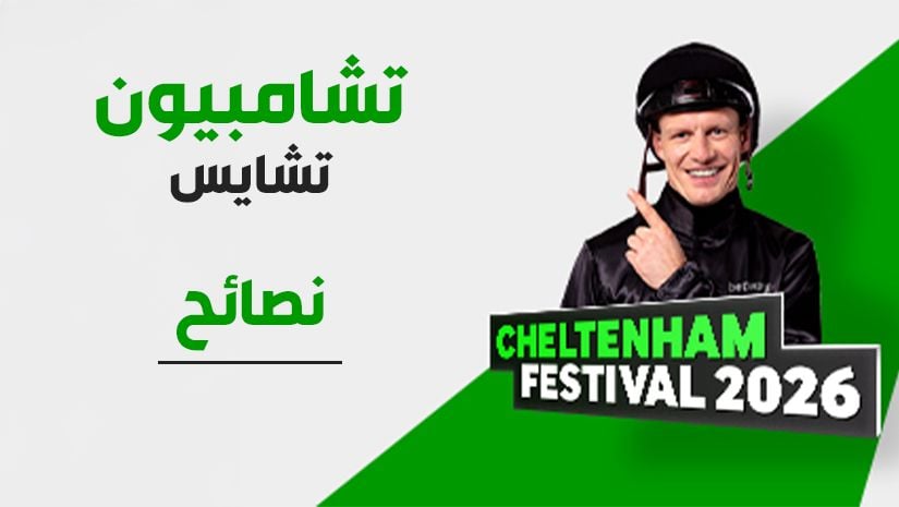 نصائح تشامبيون تشايس في مهرجان تشيلتنهام: اختيارات الخبراء لسباق كوين ماذر تشامبيون تشايس